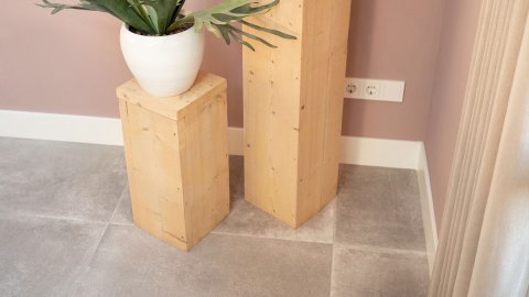 portfolio plant